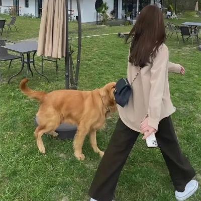 绝对权力