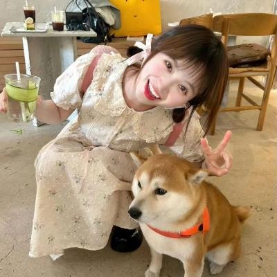 圣彼得的伞